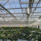 Greenhouse Kits- 2 thumbnail-4