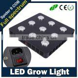 Igrow New Product Distributor Wanted Lettuce Autopot African Violet Menards Led Grow Light thumbnail-3