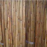 White Fern Screen Fence