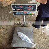 Whole Frozen Bonito Fish Bonito Whole Frozen 750G up thumbnail-1