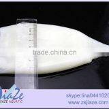 Frozen Squid Tube/giant Squid/illex Squid/loligo Squid thumbnail-2