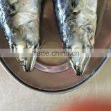 New Landing Frozen Fish Pacific Mackerel China Suppliers thumbnail-6