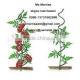 Garden Spiral Support Wire