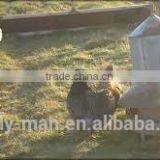 Ball Type Drinker 600 C.c. thumbnail-2