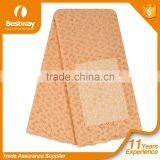 100% Nigeria Cotton Voile Lace Fabric SL0402-9 thumbnail-1