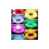 Waterproof Flexible RGB LED Strip Lighting Christmas LED Rainbow Light 110V-220V