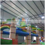 Palm Inflatable Water Slide/long Inflatable Water Slide thumbnail-6