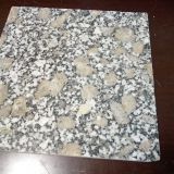 G383 Granite Cheapest Pearl Flower Granite Tile/Slab/Cube