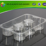 Customized Plastic Disposable Food Tray thumbnail-5