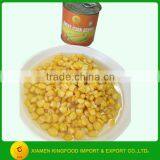 340g Canned Corn in Brine thumbnail-5