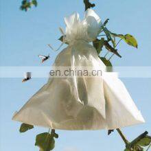 Low Cost Agricultural Greenhouse Anti Insect Proof Plastic Net Low Price thumbnail-4