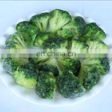China Supplier of Premium Quality Frozen Broccoli Cuts thumbnail-4