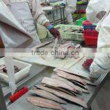 Frozen spanish mackerel Frozen seafood in China