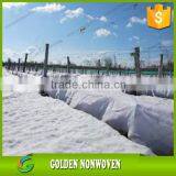Export Weed Control Fabric Used in Agriculture Landscape, Vegetable Nonwoven Cover thumbnail-4