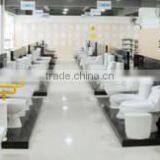 Chaozhou WDR Ceramics Co., Ltd. company overview - view 3 thumbnail