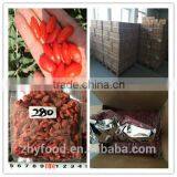 Low Pesticide Goji Berry 280grains/50g