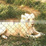 Anping Zoo Enclosure Wire Mesh for Animal Protection