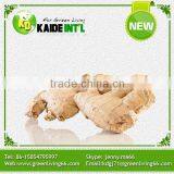 New Style China Ginger Price Product