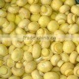 Champignon in Brine