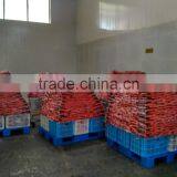 Favorable Price Sushi Ginger thumbnail-3