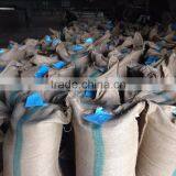 Wet Polished Robusta Green Coffee Beans Grade 1 Screen 18 thumbnail-2
