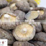 GMP Certified Shitake Mushroom/Lentinus Edodes Extract Lentinan P.E.Polysaccharide thumbnail-2