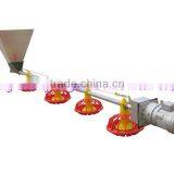 Standardized Chicken/broiler Shed Equipment Producers thumbnail-6