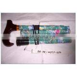 Walking Stick thumbnail-1