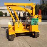 Professional Designed Pile Driver for 4.5meter Pile