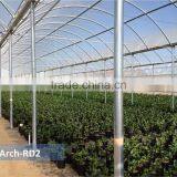 Commercial Film Greenhouse Construction thumbnail-2