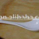 Porcelain Spoon