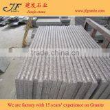 Chinese Most Popular Pink Porno G664 Granite Step thumbnail-2