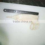 Best Seafood Frozen Squid U3 thumbnail-1