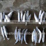 Frozen Pacific Mackerel Fish 200-300G thumbnail-6
