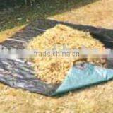 Garden Gather Sheet Garden Sheet thumbnail-1