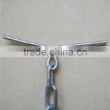 Kinds of High Quality Pet Chain thumbnail-5