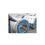 Galvanized Steel Coil/GI