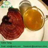 Reishi Mushroom Powder thumbnail-4