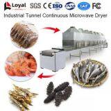 Industrial Tunnel Continuous Microwave Dryer thumbnail-2