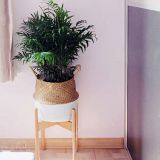 S/5 Seagrass Belly Storage Flower Basket thumbnail-4