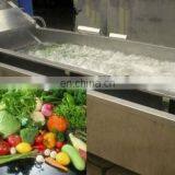 Most Advanced and Easy Operate Fully Automatic Vegetable Washing Machine thumbnail-2