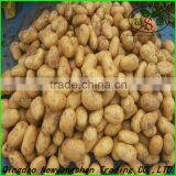 Bright Red Fresh Apple/Outstanding Chinese Exporters thumbnail-4