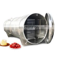 SUS 304/316  liquid  lyophilizer coffee freeze dried powder machine with CE