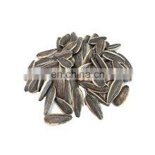 Sea Salt Sunflower Seeds/roasting Machines Sunflower Seeds/ Sunflower Seeds
