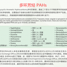 Phthalate 8P, Backpack, Shoes, Plastic Consumer Materials Test Report. thumbnail-2