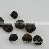 High Quality Grade A Quality Frozen Black Truffle thumbnail-2