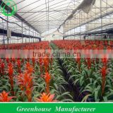 Auto Ventilation Greenhouses in Chengdu