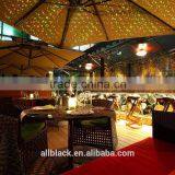 Waterproof 12 Volt Starry Light Shower Outdoor Christmas Laser Lights thumbnail-6