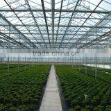 Greenhouse Glass Panels With AS/NZS2208:1996, BS6206, EN12150 Certificate thumbnail-1