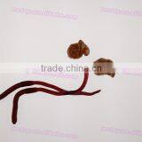 New Novelty Hot Sell Sticky Earthworm TPR Toys thumbnail-1